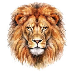 Portrait of a lion head isolated on transparent PNG background