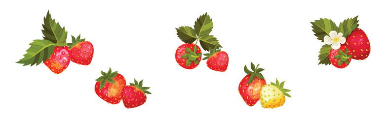 Sweet Strawberry Red Fruit Branch with Green Leaf and Stem Vector Set