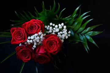 Beautiful background with red roses