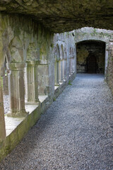 Bective Abbey, co Meath, Ireland