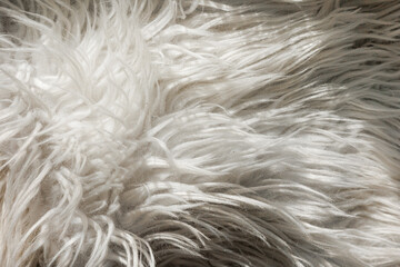 Close up artificial fluffy white-grey fabric fur, wool shaggy carpet with long pile. Soft loop pile surface. Hairy carpet detail. Faux fur texture, background.