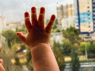 Close-upBaby's little hand on the cold glass of the window during the rain of flowers Pink peonies