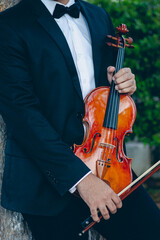 violinist music violin musical art 