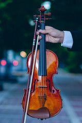 violinist music violin musical art 