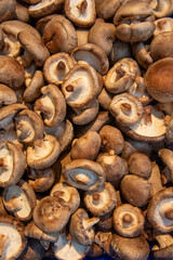 świeże grzyby do kupienia na targu