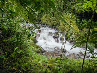 Recorrido por montañas y ríos de Chiriquí en Panamá 