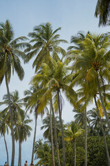 Ilha de Provid&ecirc;ncia, na Col&ocirc;mbia