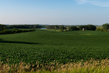 Fototapeta na wymiar The countryside with different crops in the fields, a lake and a white church in rural west central Minnesota, United States. 