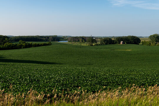 The countryside with different crops in the fields, a lake and a white church in rural west central Minnesota, United States.
