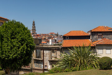wieża katedry i pomarańczowe dachówki kamienic w Porto