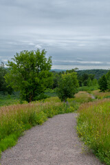 Hiking path in Maplewood State Park in the summer near Pelican Rapids, Minnesota.
