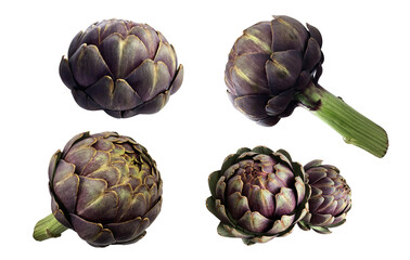Obraz premium Artichokes set, fresh violet vegetable plants cutout close-up, raw food organic diet concept, clipping path