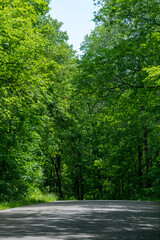 Scenic road through Maplewood State Park in the summer near Pelican Rapids, Minnesota.
