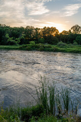 Obraz premium A body of water with trees and blue skies in the summer in rural Minnesota, USA. 