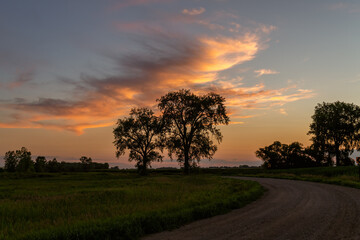 Fototapeta na wymiar Trees in silhouette against blue evening sky with orange tinted clouds and a gravel road on a summers day in rural Minnesota, United States 
