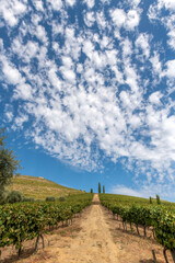 pięknie zachmurzone niebo nad droga biegnącą przez winie w Portugalii