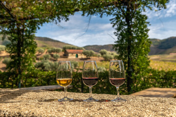 degustacja wina. 3 kieliszki naramiennym stole  a tle widok na przepiękną winnicę