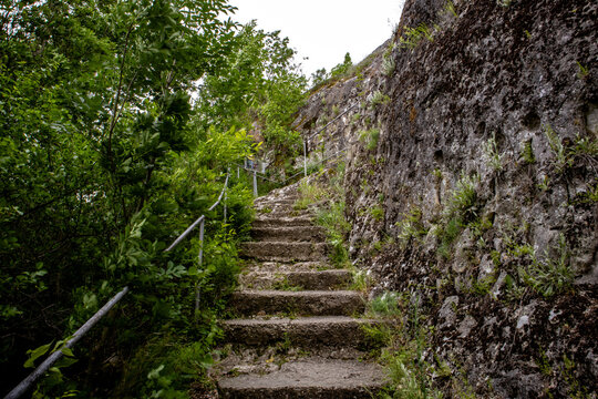 stone steps in the forest