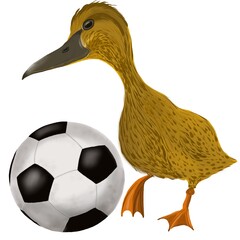 a yellow duck kicks a white black ball on a white background