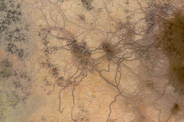Pakozd, Hungary - Aerial top down view about abstract formation at lake Velence. Shows a dried-up part, climate change is real.