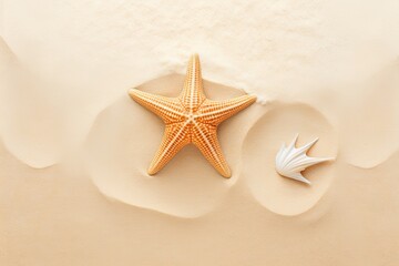 Fototapeta na wymiar Minimalist Starfish Design: Perfect for Beach Resort Flyer, generative AI
