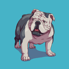 Dog american bully pitbull	