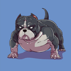 Dog american bully pitbull	