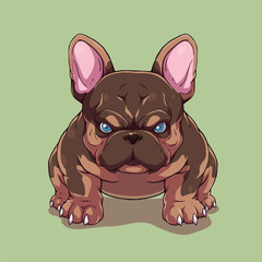 Dog american bully pitbull	