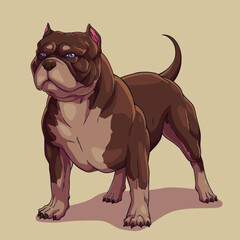 Dog american bully pitbull	