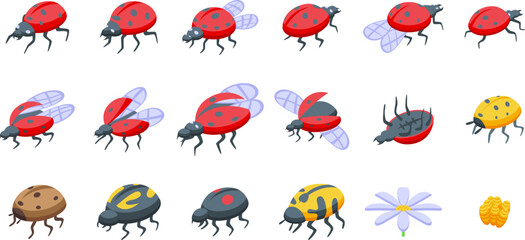 Ladybug icons set isometric vector. Spring insect. Animal nature