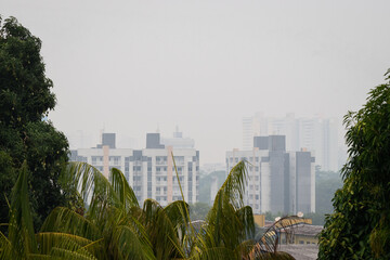 arvores e pr&eacute;dios encobertos por fuma&ccedil;a de queimadas