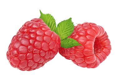Raspberry berries isolated on white or transparent background. Two red raspberry fruits with green...