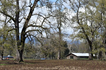 Campos del sur de Chile