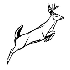 Silhouette of a deer