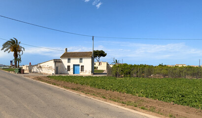 Farm field in Alboraya, L’Horta. Rural landscape. Farmhouse in Valencia. Spain vegetable farmland. Cultivation of crops in countryside. Sowing grain. Field cultivation. Soil Tillage and sowing seeds.