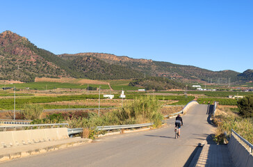 Fototapeta premium Man Bicycle on road. Person riding bicycle on footpath. Biker cycling on bike, healthy lifestyle hobby. Mountain bike sport. Cyclist in Adventure on bicycle in rural. Cyclists in Travel and sport.