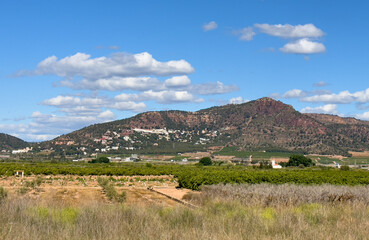 Fototapeta premium Orange citrus farm field on Mountains landscape. Blossoming Mandarin trees at farm plant. Mandarin fruit farm field. Houses on Mountain. Home on hills. House in mountains. Villa in El Picaio, Spain