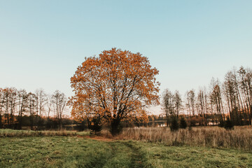 Obraz premium Scenic nature view. Autumn landscape in Latvia.