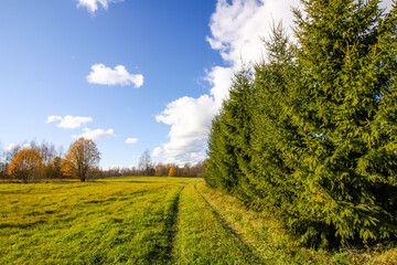 Scenic nature view. Autumn landscape in Latvia.