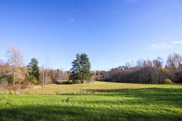 Scenic nature view. Autumn landscape in Latvia.