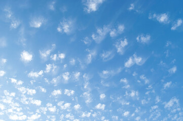 cirrocumulus clouds illuminated by the sun