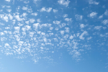 cirrocumulus clouds illuminated by the sun