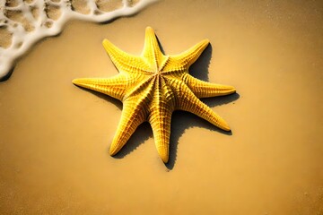 Fototapeta na wymiar A yellow starfish on a sandy yellow beach.