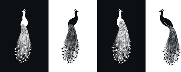 Peacock logo. Isolated peacock on white background