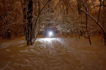 Cyclist at night in the winter in the forest. Botanical Gardens, Moscow, Russia.