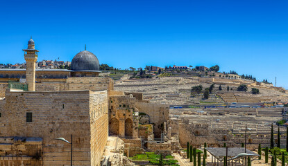 Old City of Jerusalem Jewish Cemetery - 662994835