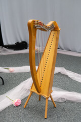 Obraz premium harp on a white background