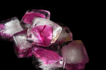 Close-up frozen pink flower petals abstract background.