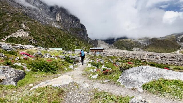 Lonely man backpacker trekker with trekking poles goes by the mountain valley path on the Mera peak climbing route. Tagnag settlement at cca 4150m. Sunny day active people mountain 4K video.