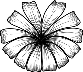 Botanical line flower
